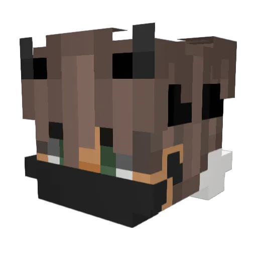 TyDeLaney Minecraft avatar head, 3D render