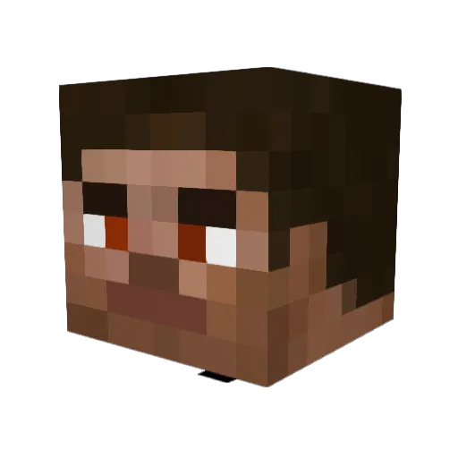 TyDrake69 Minecraft avatar head, 3D render