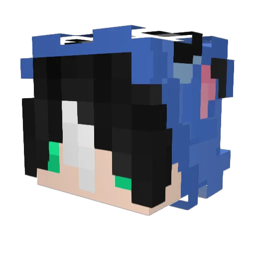 TyEuEnN Minecraft avatar head, 3D render