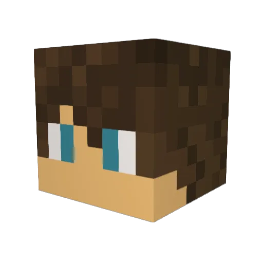 TyRy2526 Minecraft avatar head, 3D render