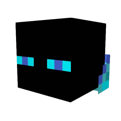 Ty_Bo98 Minecraft avatar head, 3D render