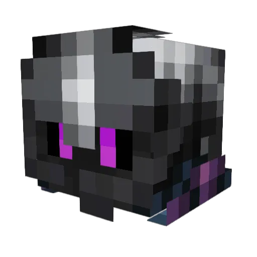 Ty_Enderman Minecraft avatar head, 3D render