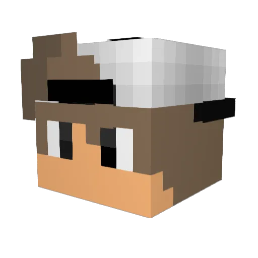 Ty_Games_2k15 Minecraft avatar head, 3D render