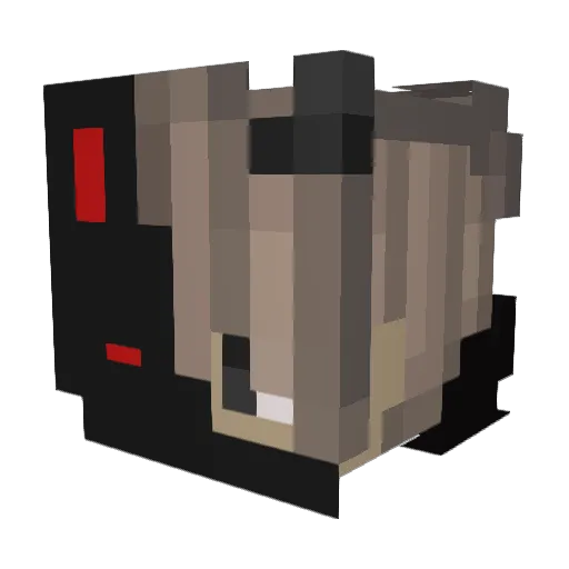 Ty_Skills Minecraft avatar head, 3D render