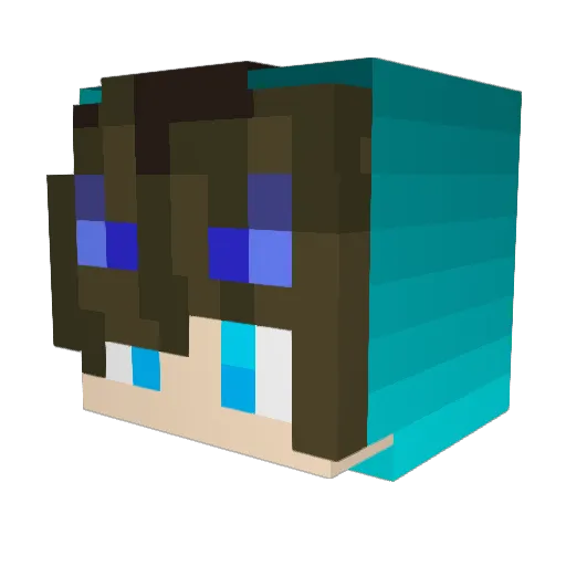 Ty_Zykk Minecraft avatar head, 3D render
