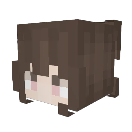 Tyachi Minecraft avatar head, 3D render