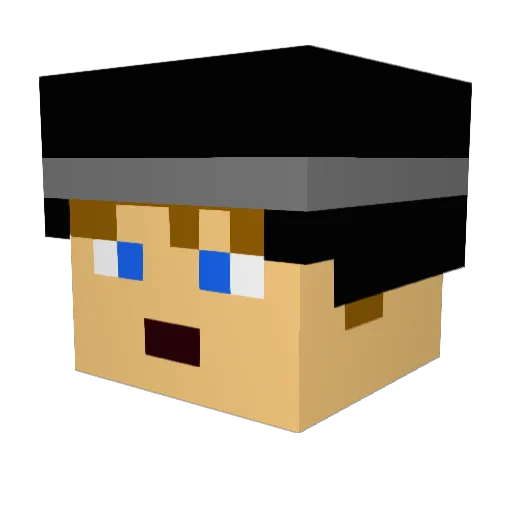 Tyanimals122 Minecraft avatar head, 3D render