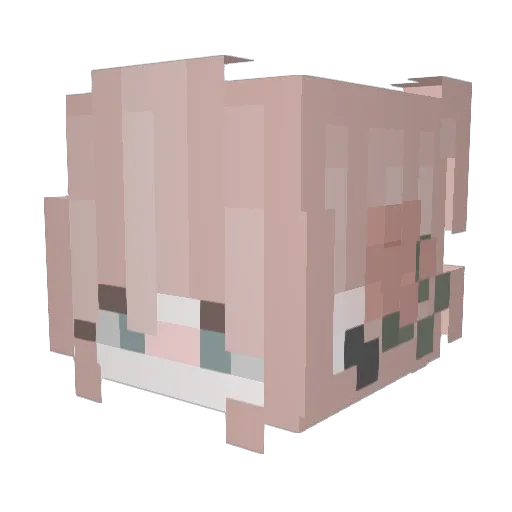 Tyano44ka Minecraft avatar head, 3D render