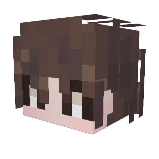 Tybeast0 Minecraft avatar head, 3D render