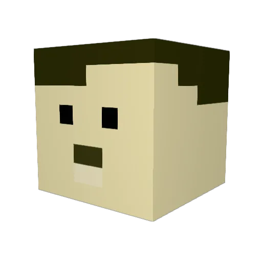 Tyber44 Minecraft avatar head, 3D render