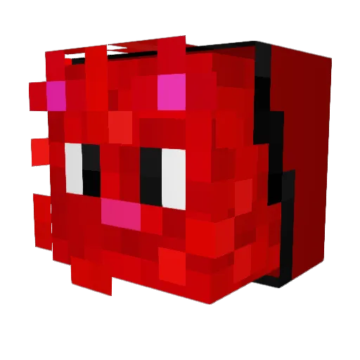 Tybin5 Minecraft avatar head, 3D render