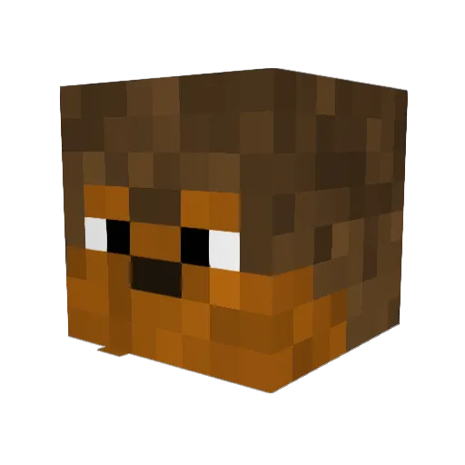 Tyc3 Minecraft avatar head, 3D render