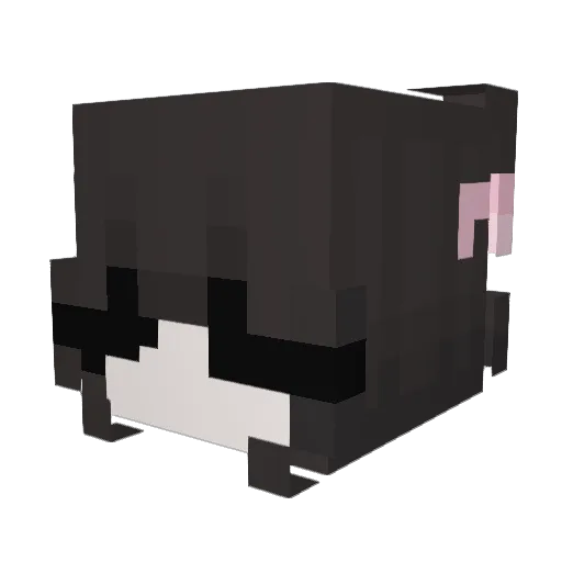 TyceRocks Minecraft avatar head, 3D render