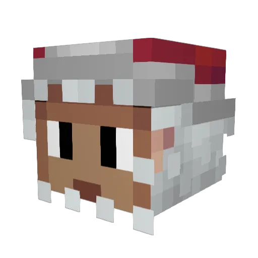 Tychezz Minecraft avatar head, 3D render