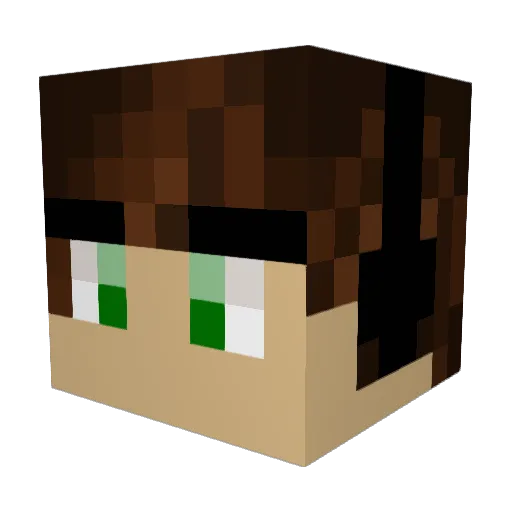 TychoBrailleur Minecraft avatar head, 3D render