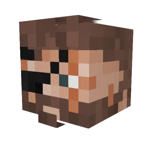 Tycjusz_ Minecraft avatar head, 3D render