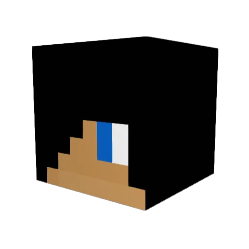 Tycon0207 Minecraft avatar head, 3D render