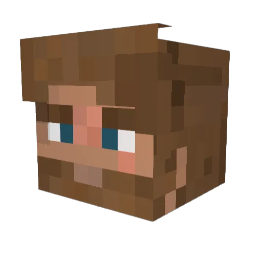 Tycoon49 Minecraft avatar head, 3D render