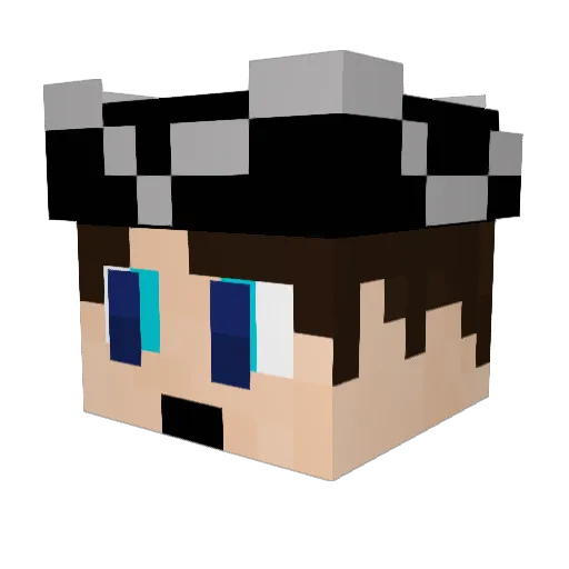 Tycraft101 Minecraft avatar head, 3D render