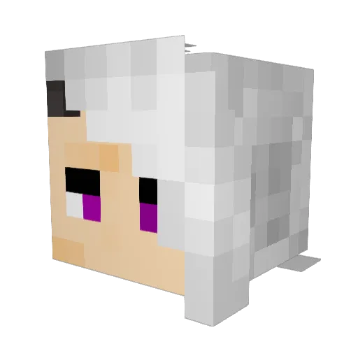 Tydamere Minecraft avatar head, 3D render