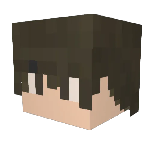 TydenDE Minecraft avatar head, 3D render