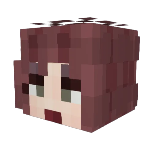Tye15 Minecraft avatar head, 3D render