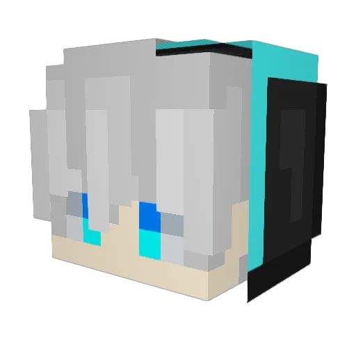 Tyee200 Minecraft avatar head, 3D render