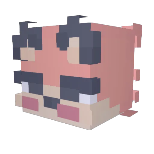 Tyest12 Minecraft avatar head, 3D render
