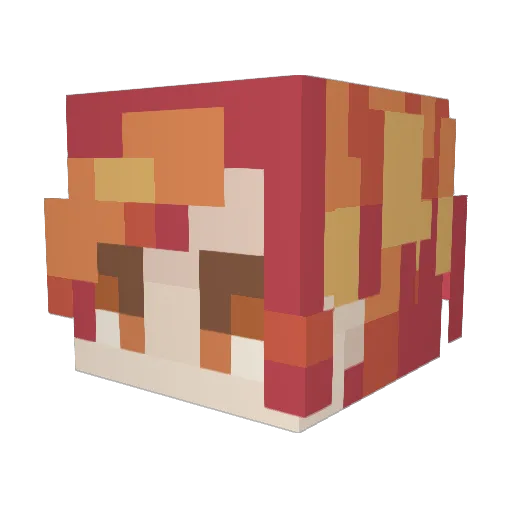 Tyflanders Minecraft avatar head, 3D render