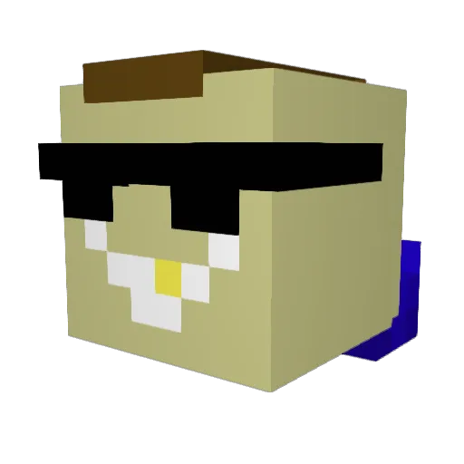 Tyfou2525 Minecraft avatar head, 3D render