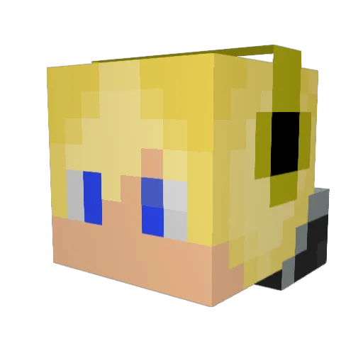 Tyger2002 Minecraft avatar head, 3D render
