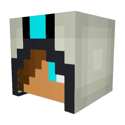 Tyger2799 Minecraft avatar head, 3D render
