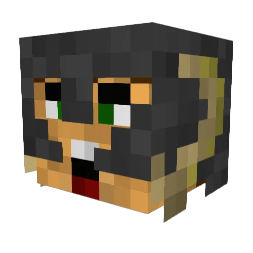 TygerBoat Minecraft avatar head, 3D render