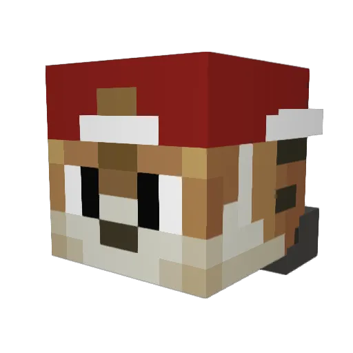 TygerPlayZMC Minecraft avatar head, 3D render