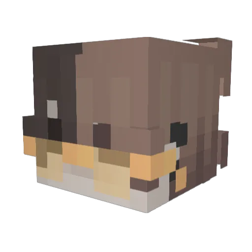 TygersASLUT Minecraft avatar head, 3D render