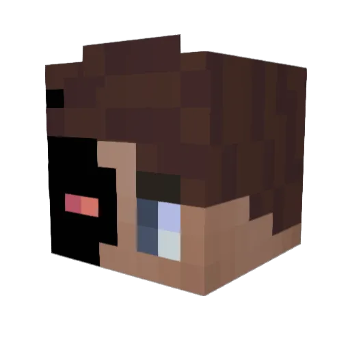 Tygrre Minecraft avatar head, 3D render