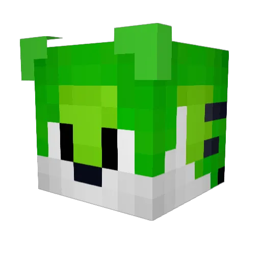 TyguyTheAwesome Minecraft avatar head, 3D render