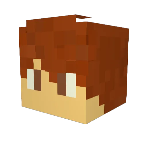 Tyguyrockylol Minecraft avatar head, 3D render