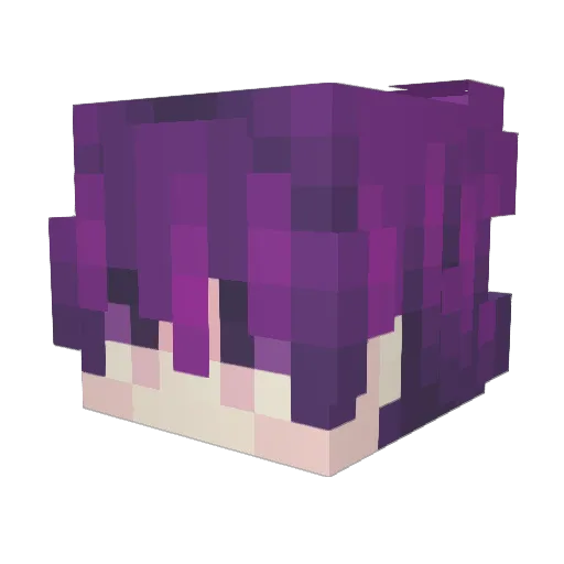 Tyhel233 Minecraft avatar head, 3D render