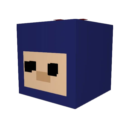 Tyhs Minecraft avatar head, 3D render