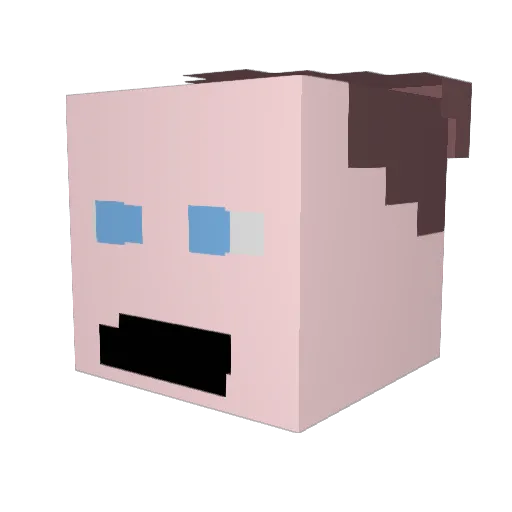 TyinPie Minecraft avatar head, 3D render