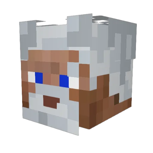 Tyjend Minecraft avatar head, 3D render