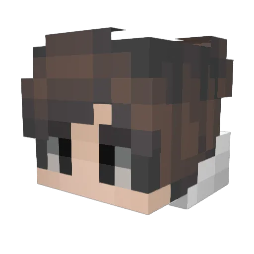 Tyka05 Minecraft avatar head, 3D render