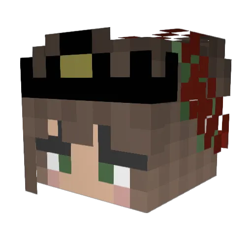 Tykagee Minecraft avatar head, 3D render