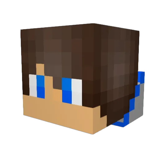Tykid116 Minecraft avatar head, 3D render