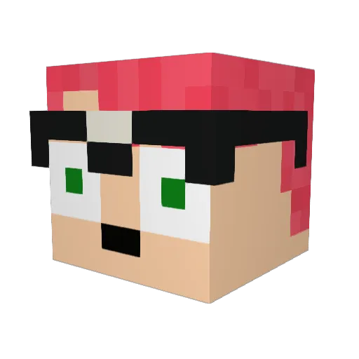 Tykip169 Minecraft avatar head, 3D render