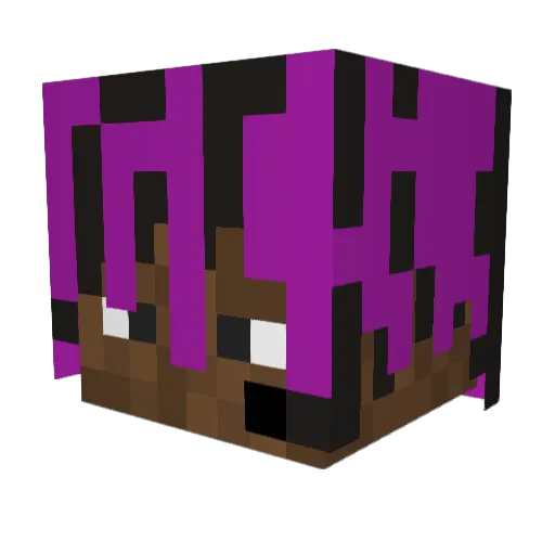 Tylayy Minecraft avatar head, 3D render