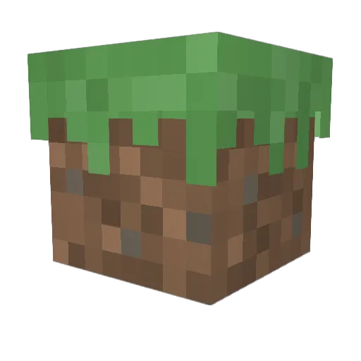 Tyler0204 Minecraft avatar head, 3D render