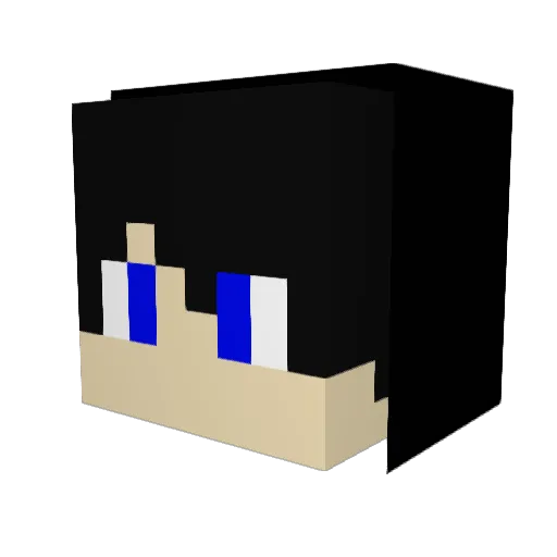 Tyler0606 Minecraft avatar head, 3D render
