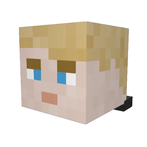Tyler098 Minecraft avatar head, 3D render